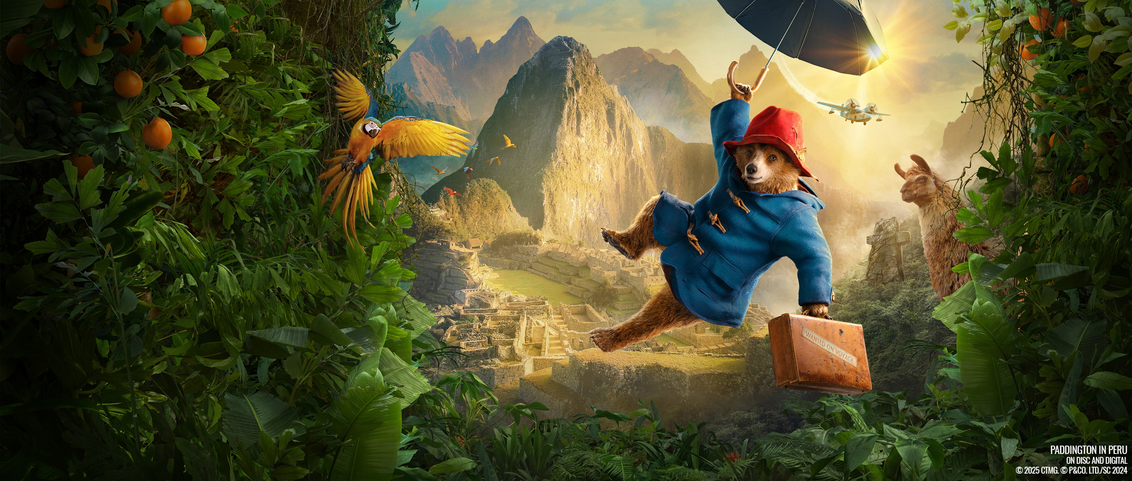 Paddington in Peru